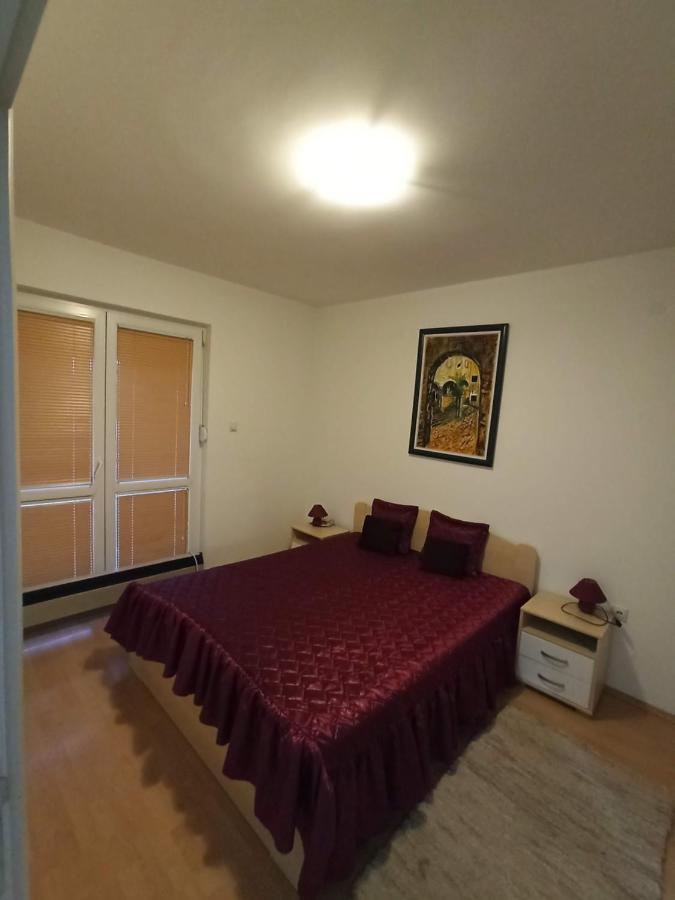 Apartman Savic Сокобаня Экстерьер фото